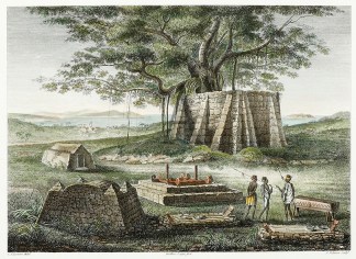 Ile Timor. Vue d’un Cimitiere Mala… Timor