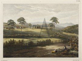 Eglise D'Elisabeth-Town. (Ile Van-Diemen.)