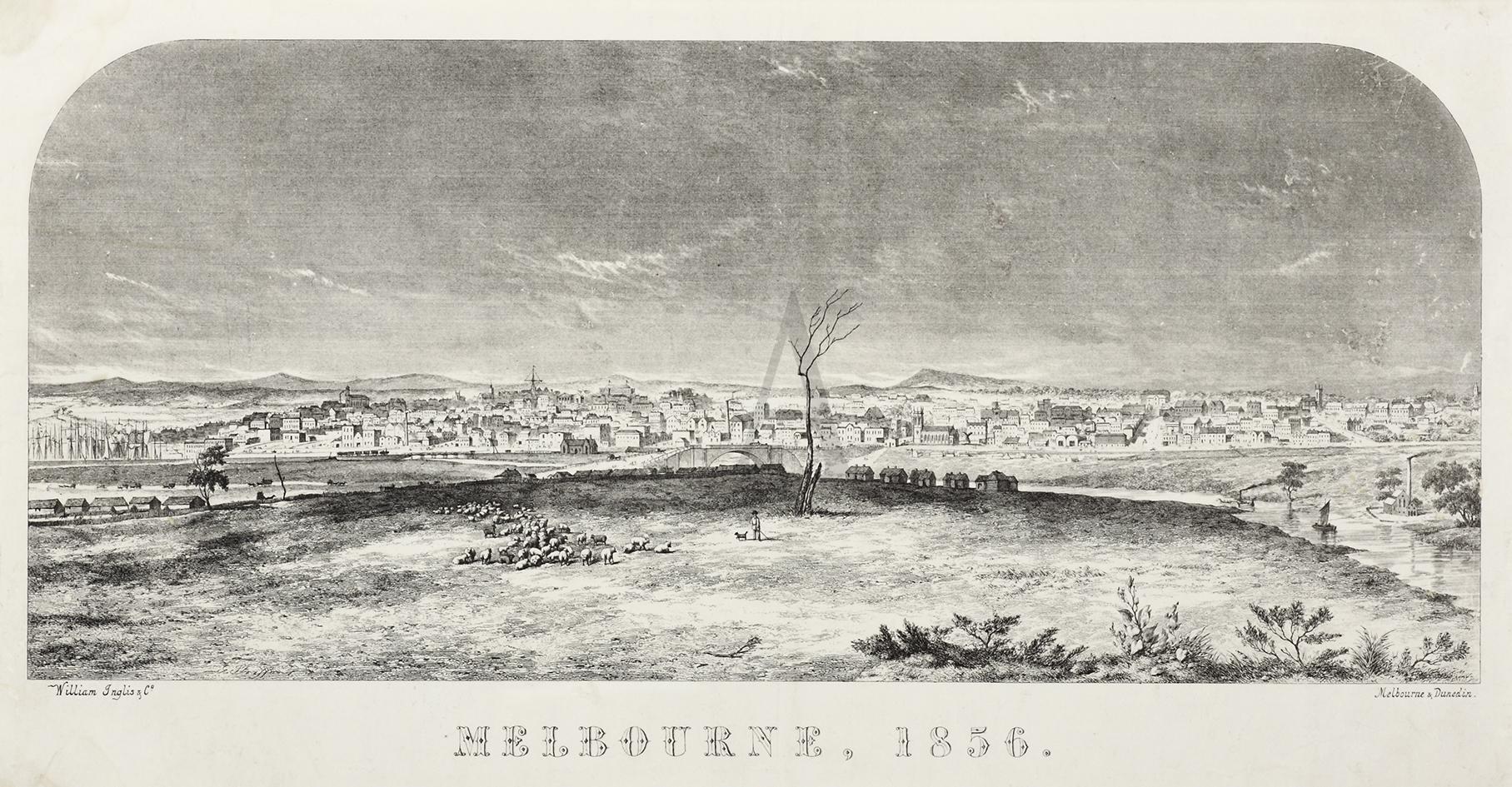 Melbourne, 1856. - Antique Print from 1856