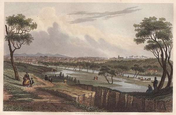 Melbourne from the Botanical Gardens. - Antique View from 1860