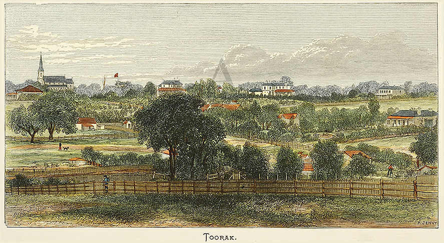 Toorak - Antique Print from 1883