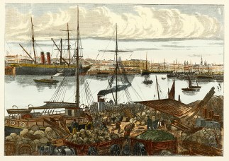 Melbourne in 1875. Melbourne