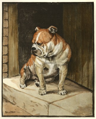 "A Thing of Beauty."-Sketch at… Dogs