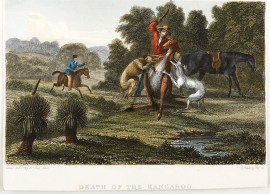 Death of the Kangaroo