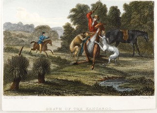 Death of the Kangaroo Australiana (General)