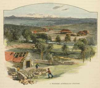 A Western Australian Station Western Australia
