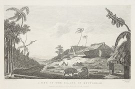 A  View in the Island of Rotterdam.