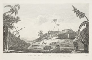 A  View in the Island of Rotterdam. To Be Categorised