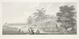 A View  at Anamooka.