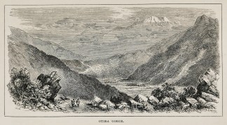 Otira Gorge. - Antique Print from 1877