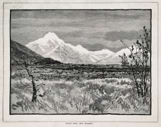 Mount Cook, New Zealand. - Antique Print from 1885