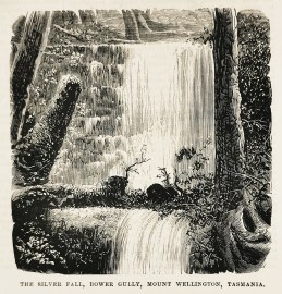 The Silver Fall, Bower Gully, Mount Wellington, Tasmania.