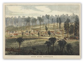 Buln Buln, Gippsland. Regional