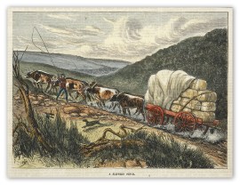 A slippery pinch. General - Australiana