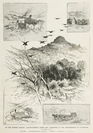 At the Barrier Ranges-Characteristic Vie… Regional