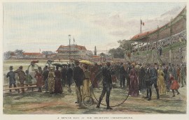 The Melbourne Cricket-Ground.