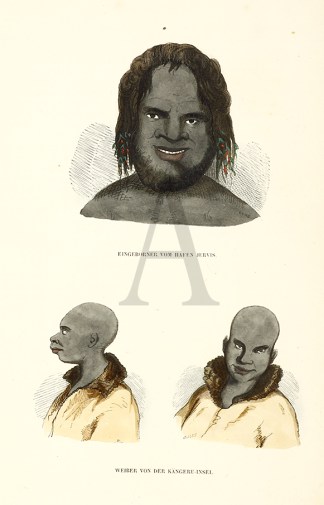 Eingeborner vom Hafen Jervis. Weiber von… ABORIGINES