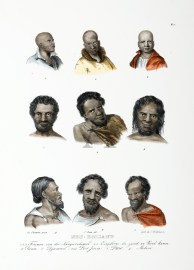 Neu-Holland. 1.2.3. Frauen von der Kanguruhinsel. 4.5. Eingeborne die zuerst an Bord kamen. 6.Beam. 7.Djacamel aus Port Jervis. 8.Patel. 9. Mokore - Antique Print from 1836