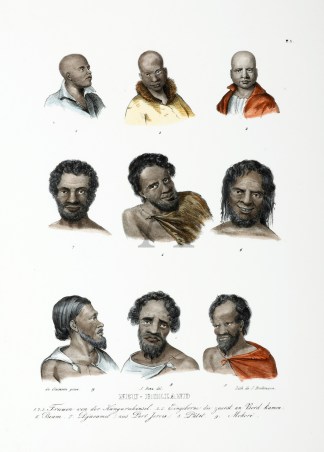 Neu-Holland. 1.2.3. Frauen von der Kanguruhinsel. 4.5. Eingeborne die zuerst an Bord kamen. 6.Beam. 7.Djacamel aus Port Jervis. 8.Patel. 9. Mokore - Antique Print from 1836