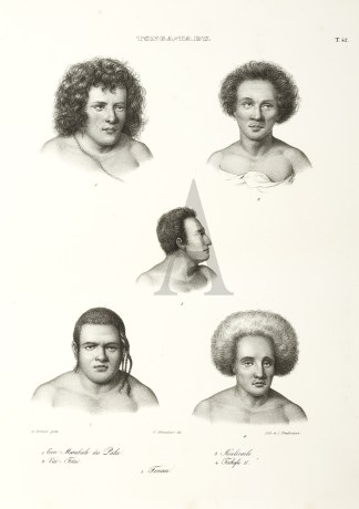 1.Ein Matabule des Palu. 2.Vai Totai 3.K… PACIFIC