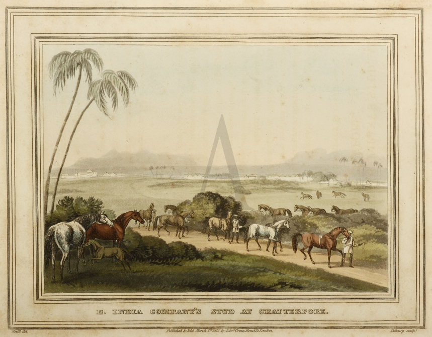 E. India Company's Stud at Chatterpore. - Antique Print from 1814