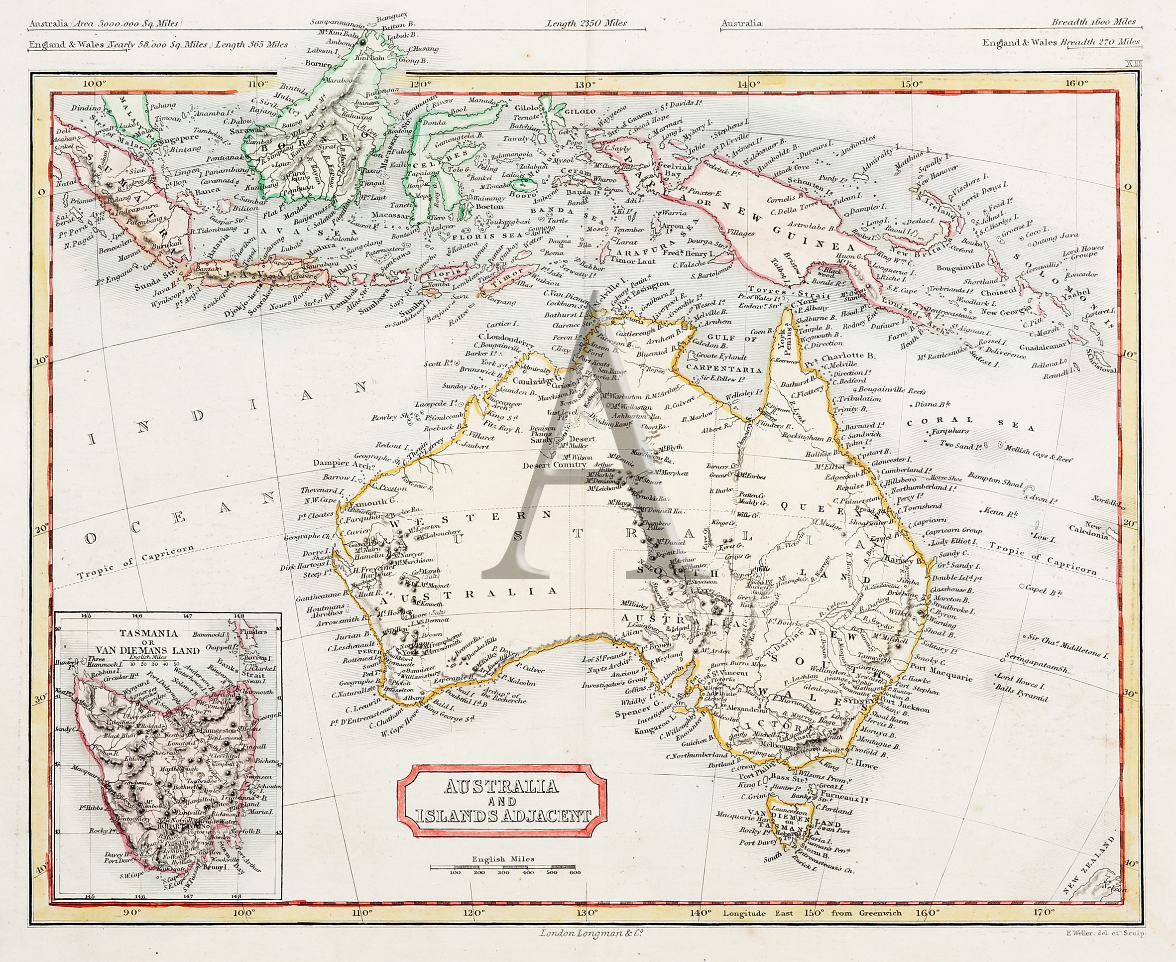 Australia and Islands Adjacent. - Antique Print from 1830