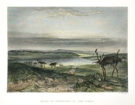 Mode of Disposing of the Dead.