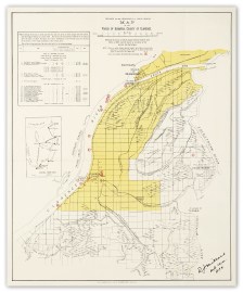 [Plague] Map of the Parish of Ulmarra, County of Clarence. Showing the places at which PLAGUE-infected Rodents were taken in 1905.....