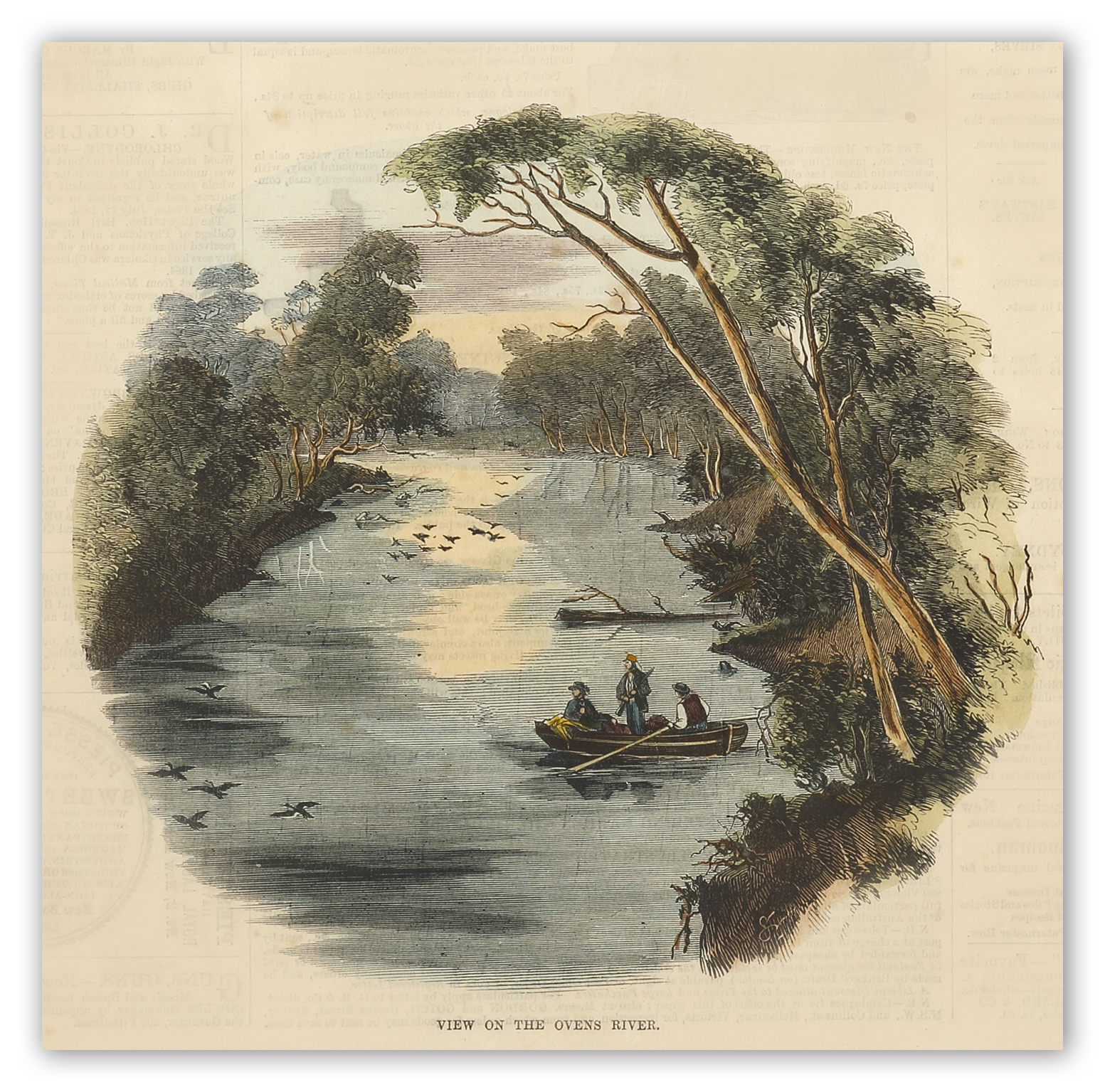 View on the Ovens River. - Antique Print from 1869