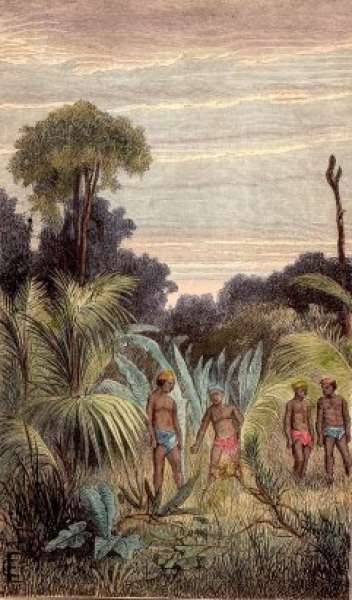 Natives of New Caledonia. - Antique Print from 1859