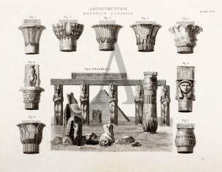 Architecture. Egyptian Capitals Architecture