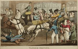 Tandem Driving. Equestrian Tandem Driving.