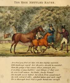 The High Mettled Racer.