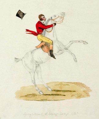 Symptoms of being bang up Equestrian