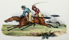 Englischer Renner im Lauf. Chevaux anglais a la course