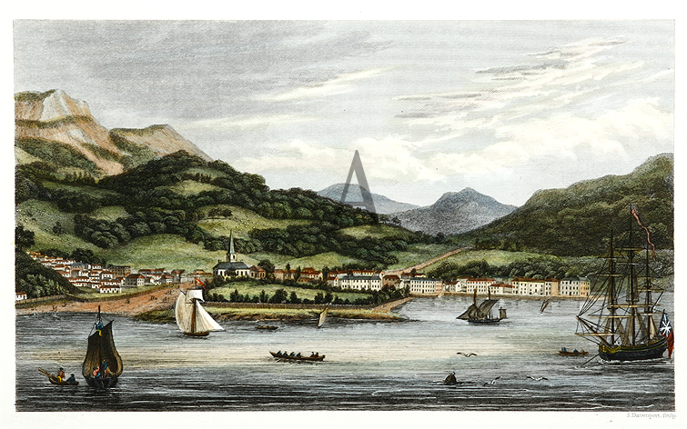 Hobart Town. - Antique Print from 1835