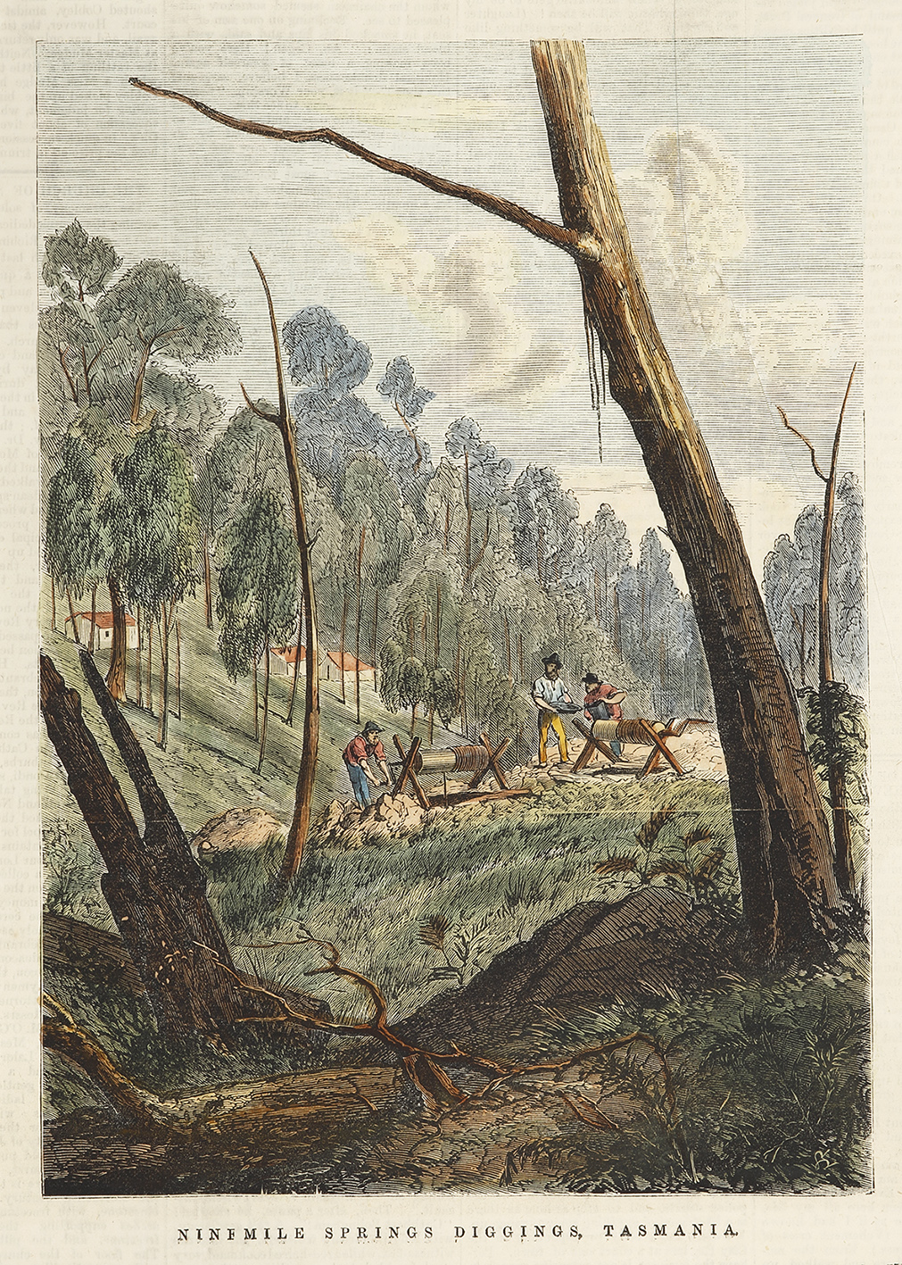 Ninemile Springs Diggings, Tasmania. - Antique View from 1870