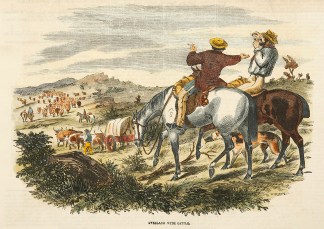 Overland with Cattle. Australiana (General)