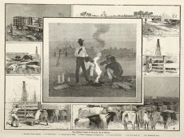 The Cattle Trade at Bourke, N.S. Wales.