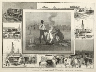 The Cattle Trade at Bourke, N.S. Wales. Regional