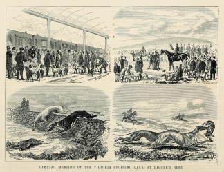 Opening meeting of the Victoria Coursing club, at Digger’s Rest. Victoria - Melbourne