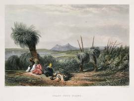 Grass Tree Plains. Australian - General