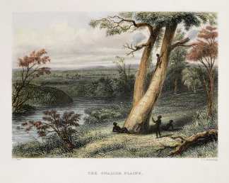 The Gwalior Plains. sic First Nations History