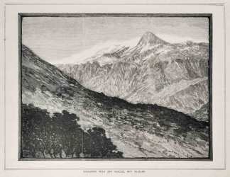 Rollaston Peak and Glacier, New Zealand. sic - Antique View from 1885