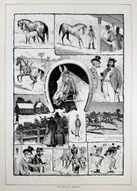 The Career of a Racehorse.. - Antique Print from 1884