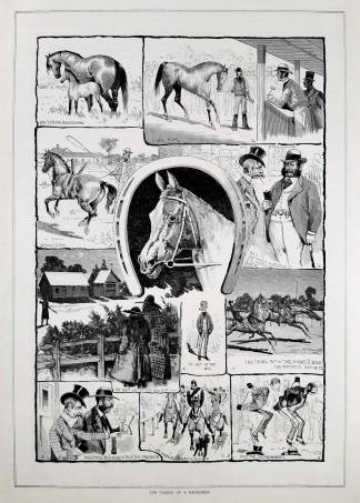 The Career of a Racehorse.. - Antique Print from 1884