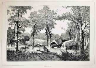 [Gippsland] A Teamsters' Camp. - Antique View from 1885