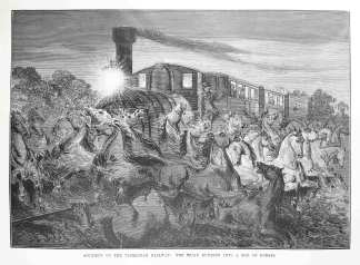 Accident on the Tasmanian Railway: The Train Running into a Mob of Horses. - Antique View from 1876