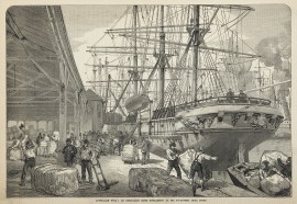 Australian Wool: An Australian Liner discharging at the South-West India docks.