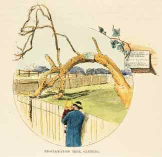 Proclamation Tree, Glenelg - Antique Print from 1887